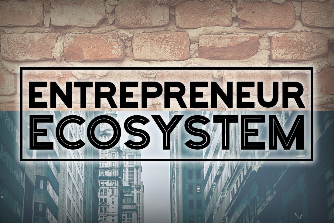 Entrepreneur Ecosystem